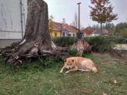 IMG 20181020 140551 HDR