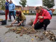 IMG 20181020 145847 HDR