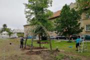 IMG 20190511 163906