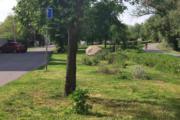 IMG 20200522 052658-01