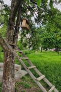 IMG 20200522 053159-01